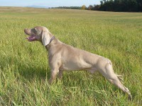 /album/fotogaleria-kontakt/p1210821-jpg/