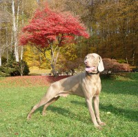 /album/fotogaleria-kontakt/p1210832-jpg/